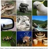 OpenAIが画像生成を50倍高速化する新技術「sCM」を発表、リアルタイム画像生成の実現へ前進