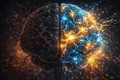 重度のアルツハイマー病を「完全に逆転」させることに初成功：米研究チームがマウス実験で脳の自己修復プロセスを実証。鍵は「NAD+代謝」の回復にあり