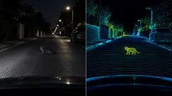 夜間の道路を歩く猫と、LiDARによる点群の検出映像