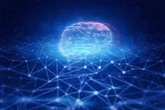 量子もつれが脳内でニューロン間の信号同期に関与している可能性が示される