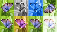 Google、AI生成画像に除去が不可能な透かしを埋め込む「SynthID」を開発