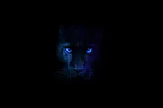 Intelの逆襲：Panther Lake投入と「18A」歩留まり改善の真実──CES 2026で明かされる半導体の未来