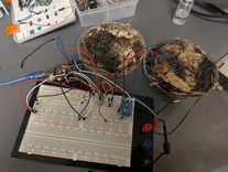 キノコでコンピュータを作る？AI時代の電力危機を救う「菌類メモリ」の衝撃