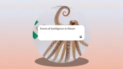 Spotify元幹部、次なる挑戦はAI教育革命「Oboe」：プロンプト一つで“あなただけの教師”が生まれる新時代の幕開け