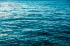 AIボット対策のデータ汚染は「海におしっこをするようなもの」：個人開発者が生んだ「Anubis」が示すWeb保護の新境地