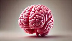 マイクロプラスチックが脳内に存在することが判明。どの程度心配すべきか？