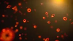 太陽系に原始ブラックホール発見することができるか？