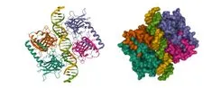 機械学習がタンパク質折りたたみ問題を解決し、2024年のノーベル化学賞を受賞した