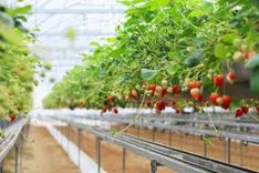 「デジタルツイン」が食品業界へのサイバー攻撃防止にどう役立つか