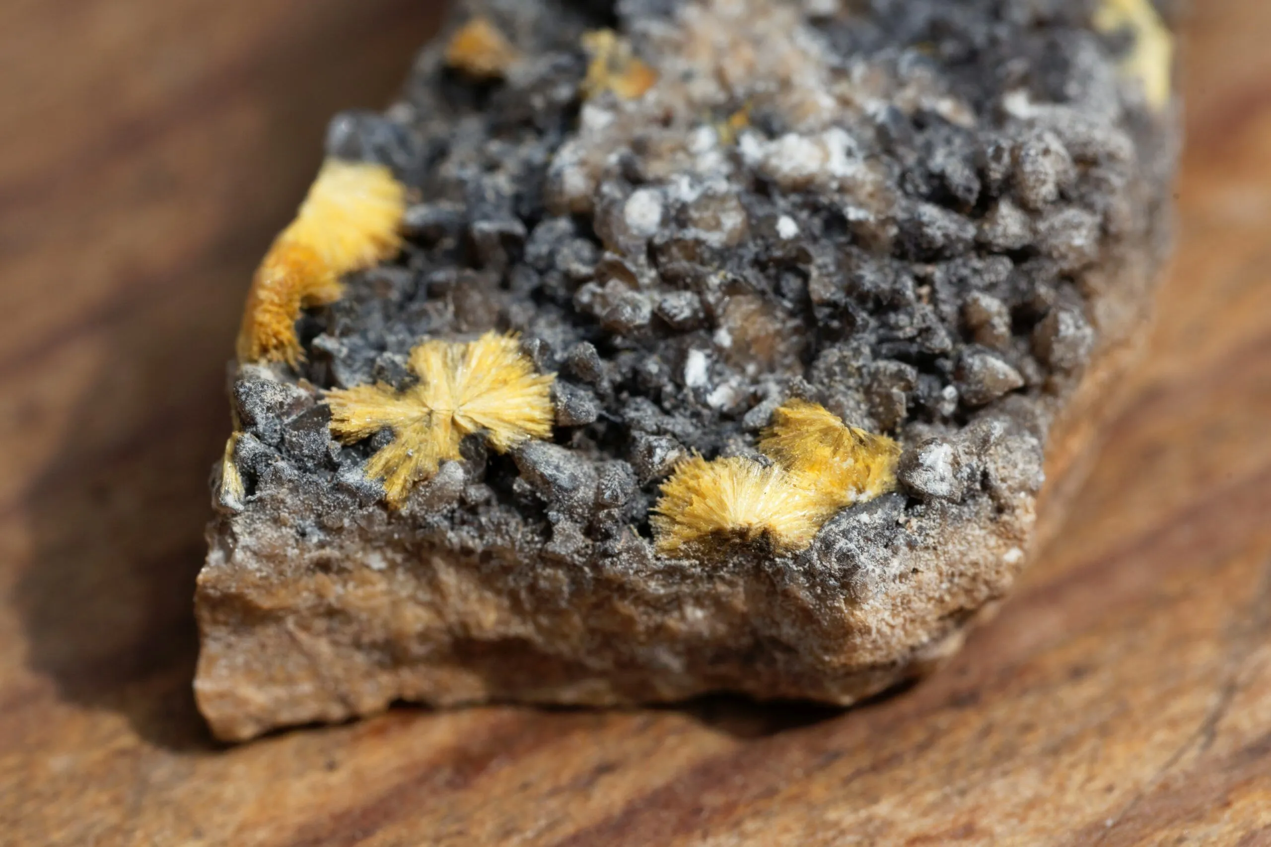 ウラン濃縮とは何か、そして核爆弾にどのように使用されるのか？科学者が解説する